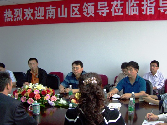 深圳市南山区领导调研考察IM电竞集团