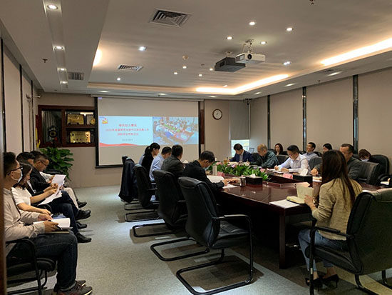 落实全面从严治党  高质量发展迎百年华诞――IM电竞集团党委召开2020年基层党支部书记抓党建工作述职评议会议